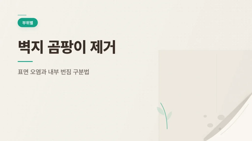 벽지 곰팡이 제거 안내 이미지
