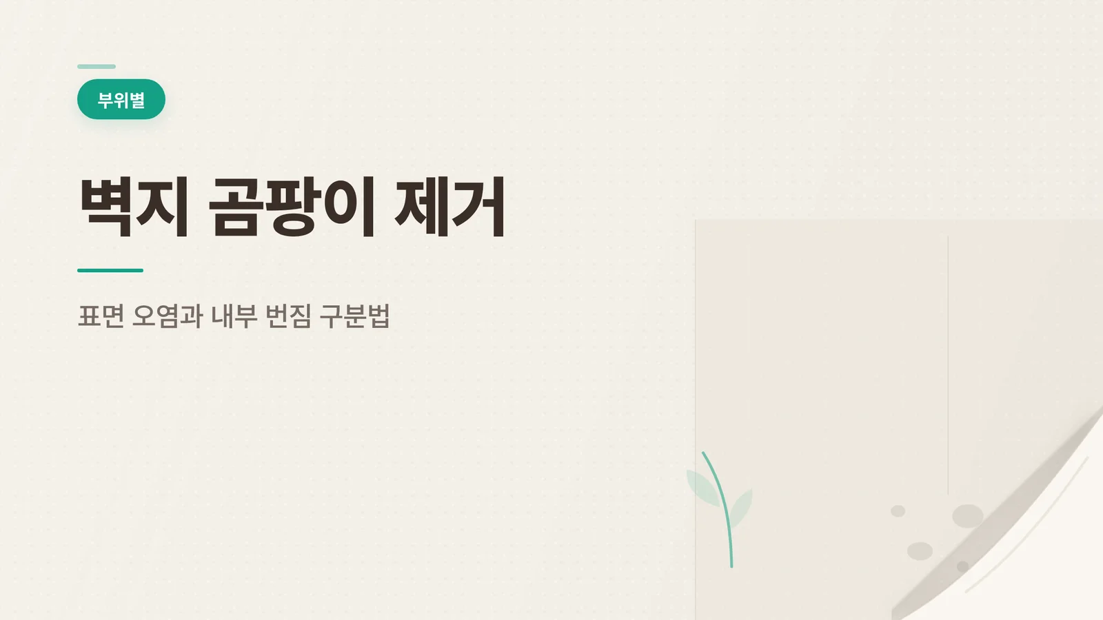 벽지 곰팡이 제거